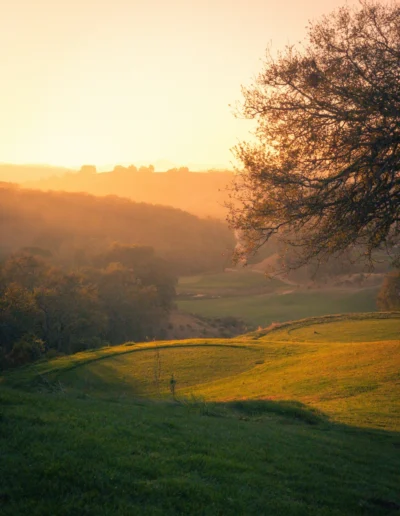player national golf stock gallery 10